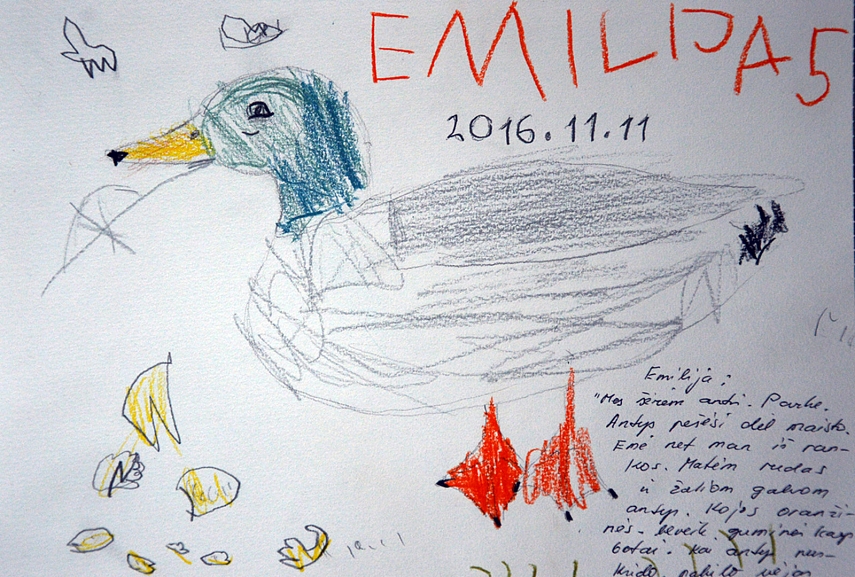 <p>Formą piešiau aš, Emilija spalvino</p>

