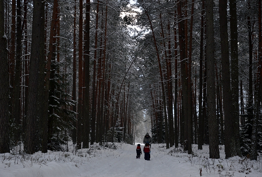 <p>Mūsų numylėtas miškas - už Pagirių. Apie 30 km nuo Vilniaus.</p>
