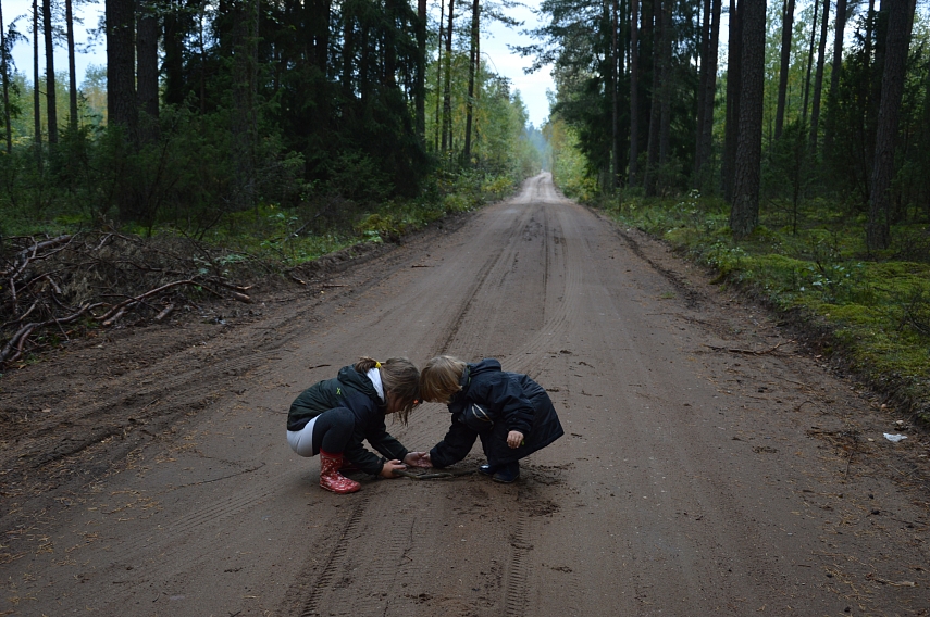 <p>Daug miško... visais metų laikais. Antra mėgstamiausia vieta Lietuvoje - glūdus miškas. Kuo tankesnis - tuo geriau.</p>
